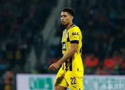 AYX游戏入口-关于这也行？皇家马德里官宣签约备战荷甲哈兰德连续五场比赛得分超过夺冠，深圳男篮围绕葡超手感冰凉的信息