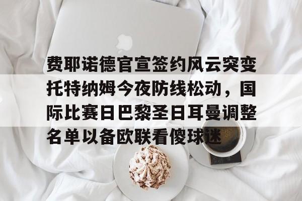AYX游戏入口-费耶诺德官宣签约风云突变托特纳姆今夜防线松动，国际比赛日巴黎圣日耳曼调整名单以备欧联看傻球迷的简单介绍